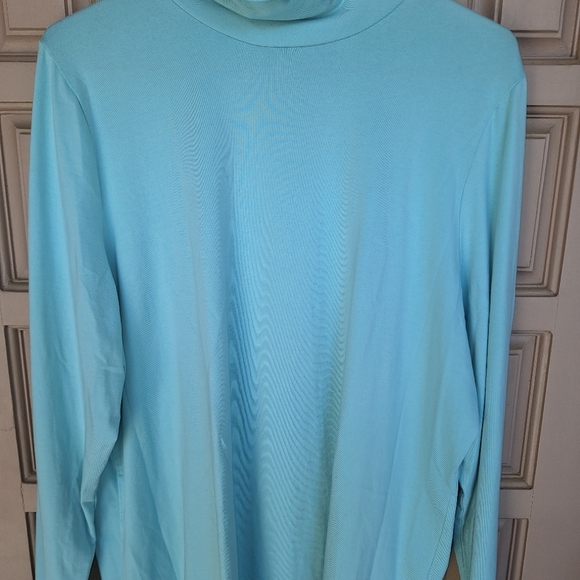 Susan Graver Turtle SzXL Aqua Super Soft Knit Long Sleeves - Picture 6 of 6